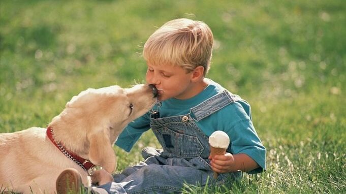 egy fiú férgeket kap egy kutyától